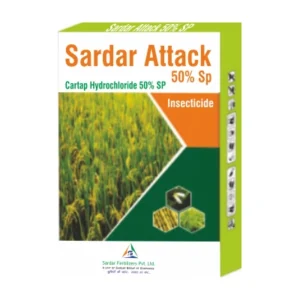 SARDAR ATTACK