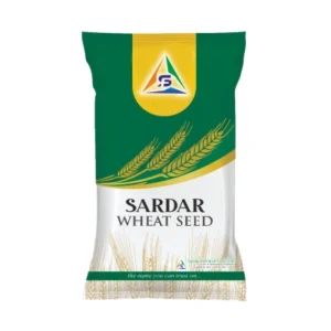 WHEAT SEED