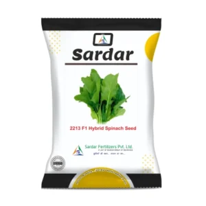 SPINACH SEED