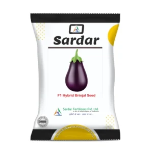 BRINJAL SEEDS