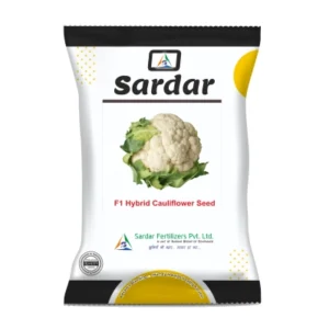 CAULIFLOWER SEEDS