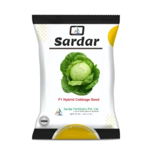 CABBAGE SEEDS