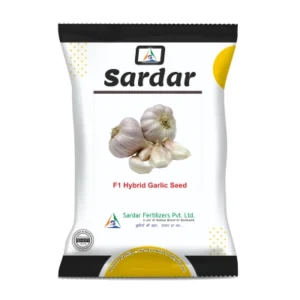 GARLIC SEEDS