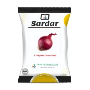 ONION SEEDS