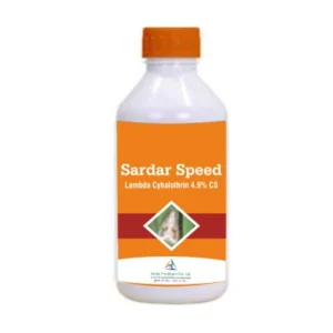 SARDAR SPEED